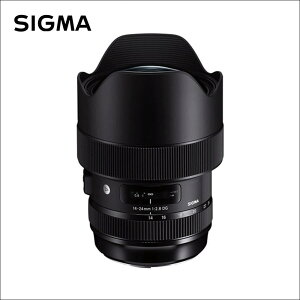 VO}(Sigma) 14-24mm F2.8 DG HSM | Art(A[g) jRF}Egp