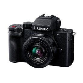 パナソニック ミラーレス一眼カメラLUMIX G100D Kキット 標準ズームレンズキット (LUMIX G VARIO 12-32mm)