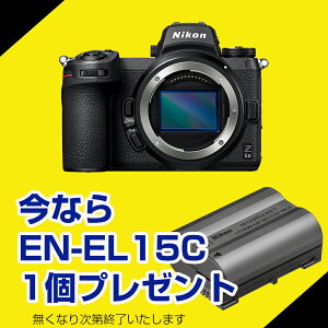 y\obe[v[gzjR(Nikon) jR Z 6II {fB