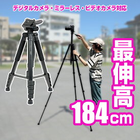 BECKS(ベックス) 三脚・一脚兼用 Memoria M3 STP-103　ビデオカメラ 三脚 一眼レフ ミラーレスカメラ 3WAY雲台 伸縮式 アルミ製 収納ケース付き
