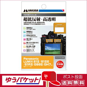 y䂤pPbgz znNo tیtBIII Panasonic LUMIX S1II / S1IIE / S1RII / G99II / GH7 p (DGF3-PAS1M2)