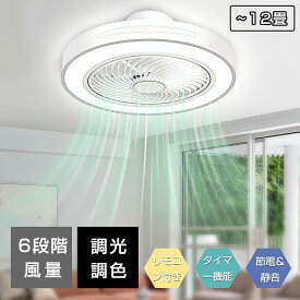 シーリングファン シーリングファンライト LED シーリングライト 超高輝度 扇風機 ファン 静音 節電対策 省エネ ファン付き照明 空気循環 調光調色 超薄型 8畳 10畳 12畳 アプリ対応 リモコン付き メモリ機能 タイマー