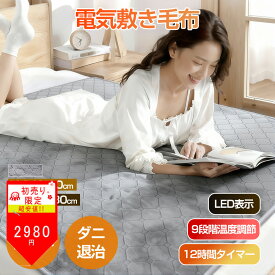 【春期間限定クーポンで2980円〜】電気毛布 敷き【2025冬新開発】9段温度調節 タイマー付き 電気敷き毛布 140*80cm 190*130cm ダニ退治 簡単お手入れ 速暖 敷き電気毛布 電気ブランケット 厚手 シングル ダブル 寒さ対策 省エネ 電源オフ 過熱保護 PSE認証済み