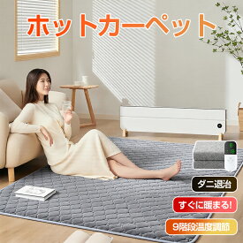 ホットカーペット 本体 長方形 ホットマット 9段階温度調節 タイマー付 ダニ退治 電気カーペット 電気マット 簡単 操作 ダニ対策 床暖房 撥水加工 滑り止め加工 ふわふわミルクフリース生地 足元 速暖 暖房 自動電源オフ