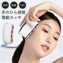 楽天市場】vロール 美顔器の通販