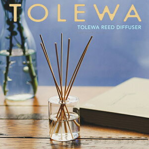 TOLEWA igjfBt[U[XeBbN [tOX CeA Mtg  v[g [hfBt[U[ v`Mtg A}  KX WX~u[P [YVg