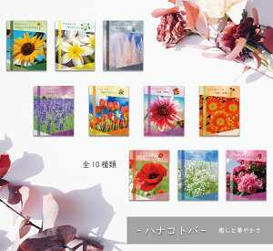 gC SafetyToilet OnePack Pocket(50)̂ЂTCY fUCgуgC { pȈՃgC hД~ ȈՃgC50 ȈՃgCÌō ȈՃgChЂ Mtg