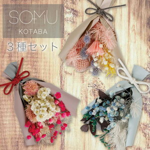 ドライ フラワー 花束の人気商品 通販 価格比較 価格 Com ドライ フラワー 花束の人気商品 通販 価格比較 価格 Com