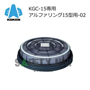 At@O15^p-02 KGC-15^ptB^ _CILV x1 x2  z KOKEN ^hŃ}XNp  25g