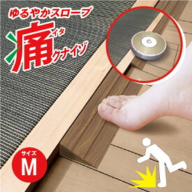 【送料無料】【1、2営業日以内に発送】つまさきやわらかガード　痛くないぞゆるやかスロープM　痛クナイゾゆるやかスロープ　IT-02　2cmの段差　やわらか素材　段差解消　段差スロープ　つまづき対策　ロボット掃除機　バリアフリー　段差プレート　車いす　介護用品
