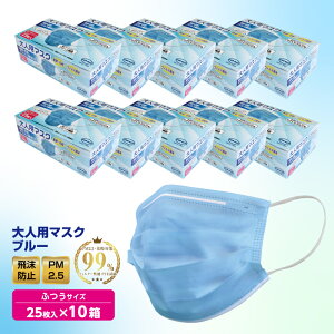 【送料無料】【1、2営業日以内に発送】大人用マスク 250枚入り(25枚×10箱) 使い捨てマスク 青 ブルー 不織布マスク 三層構造 普通サイズ 飛沫防止 花粉対策 微粒子・ウィル