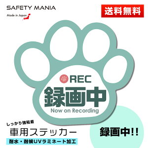 カー用品 ステッカー 肉球の人気商品 通販 価格比較 価格 Com