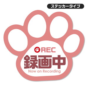 ył킢zhR XebJ[ ^撆  }Olbg ^]΍ ^]h~  L ԗp hCuR[_[V[ ySAFETY MANIAz