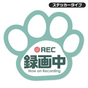 ył킢zhR XebJ[ ^撆  }Olbg ^]΍ ^]h~  L ԗp hCuR[_[V[ ySAFETY MANIAz