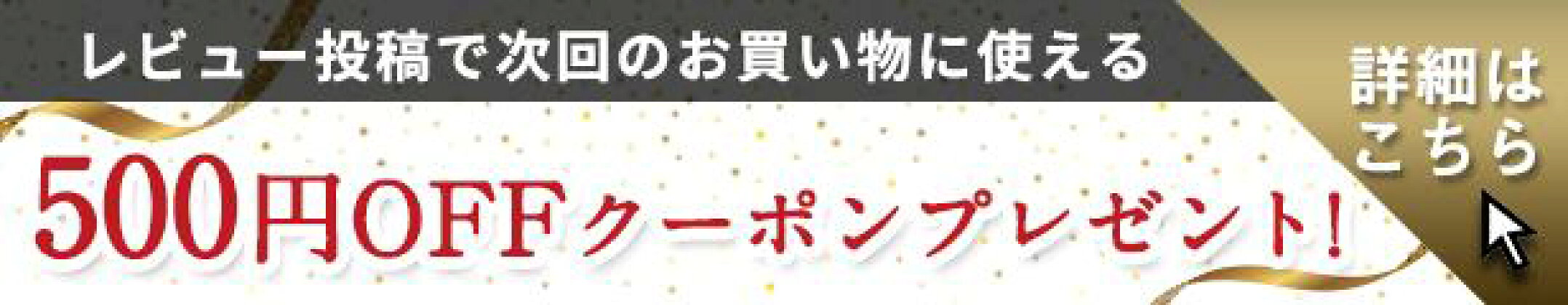 レビュー投稿で500円OFFクーポンプレゼント