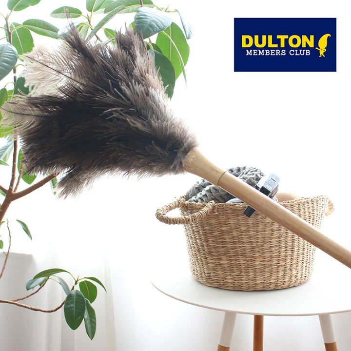 楽天市場 ダルトン フェザーダスター 60cm Dulton ダルトン 毛 オーストリッチ ハタキ ロング だちょう 天然素材 玄関 はたき 掃除用具 おしゃれ 掃除道具 デスク 置物 お掃除 お片付け ホコリ 私のライフスタイル カジタノ