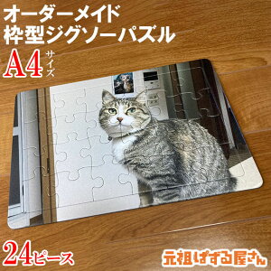 yA4TCYzIWi g^WO\[pY 24s[X ʐ^  IWi Mtg v[g