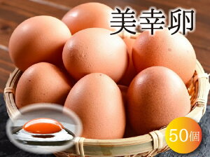 uh  K т M`LTCY v50 iۏ10܂ށj񂹃O ܂ R` ͍] VN Z 