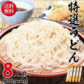 1000円ポッキリ 送料無料 グルメ食品 乾麺 うどん お試し 特選うどん 4束セット ポイント消化 グルメ お取り寄せグルメ 山形 寒河江 蕎麦 麺 ポスト投函