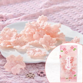 【春の限定品】咲くサクッ桜 山形 煎餅工房さがえ屋 せんべい 煎餅 桜 桜塩 お花見 卒業祝 入学祝 内祝 プチギフト