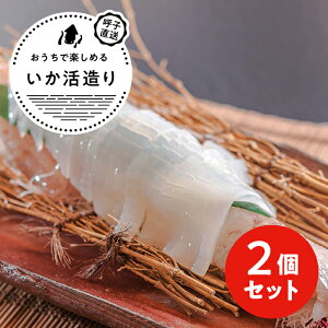 イカ 刺身の人気商品 通販 価格比較 価格 Com