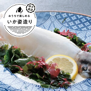 呼子松いか姿造り 約180g×1P／新鮮な松いか（するめいか）の姿造り。そのままお刺身のほか、天ぷらにしてもおすすめ。