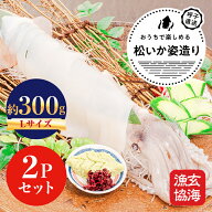 【玄海漁協公式】呼子松いか姿造り（Lサイズ）×2P／新鮮な松いか（するめいか）の姿造り。そのままお刺…