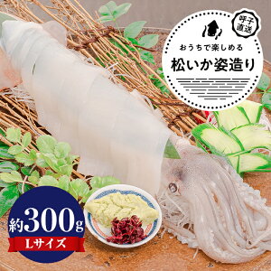 ĎqpiLTCYj×1P^VNȏi߂j̎pB̂܂܂hĝقAVՂɂĂ߁B