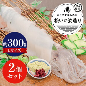 ĎqpiLTCYj×2P^VNȏi߂j̎pB̂܂܂hĝقAVՂɂĂ߁B