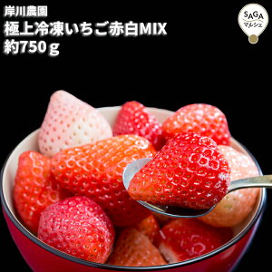 yYnzɏⓀԔMIX@750g@ Mtg 蕨 Hו B  񂹃O Xgx[  C`S 