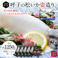 松イカ姿造り 250g × 5P 数量限定 Lサイズ │呼子 産地直送・CASセンター スルメイカ イカ刺し │ 活イ…