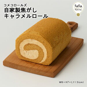 ƐłL[ _sECOREST-LABO RR[Y ĕ Oet[ sgp [P[L P[L XC[c  mَq َq  Mtg O  