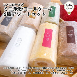 ~jĕ[P[L 6A\[gZbg _sECOREST-LABO RR[Y ĕ Oet[ sgp [P[L P[L XC[c  mَq َq  Mtg O