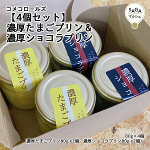 y4ZbgzZ܂vZVRv _sECOREST-LABO RR[Y v XC[c  mَq َq  Mtg O 