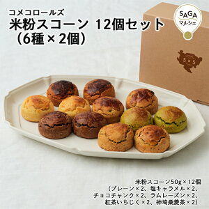 ĕXR[ 12Zbgi6×2j _sECOREST-LABO RR[Y ĕ Oet[ sgp XR[ XC[c  mَq َq  Mtg O 