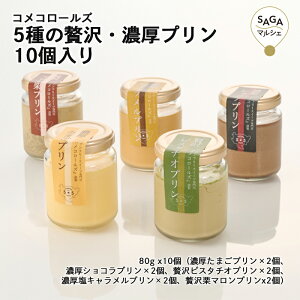 5ґEZv 10 _sECOREST-LABO RR[Y ĕ Oet[ sgp v XC[c  mَq َq  Mtg O 