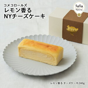  NY`[YP[L _sECOREST-LABO RR[Y ĕ Oet[ sgp j[[N XC[c  mَq َq  Mtg O 