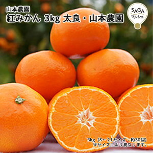 g݂@3kg@ ǁER{_ ǂ݂ B   O t[c k Mtg 