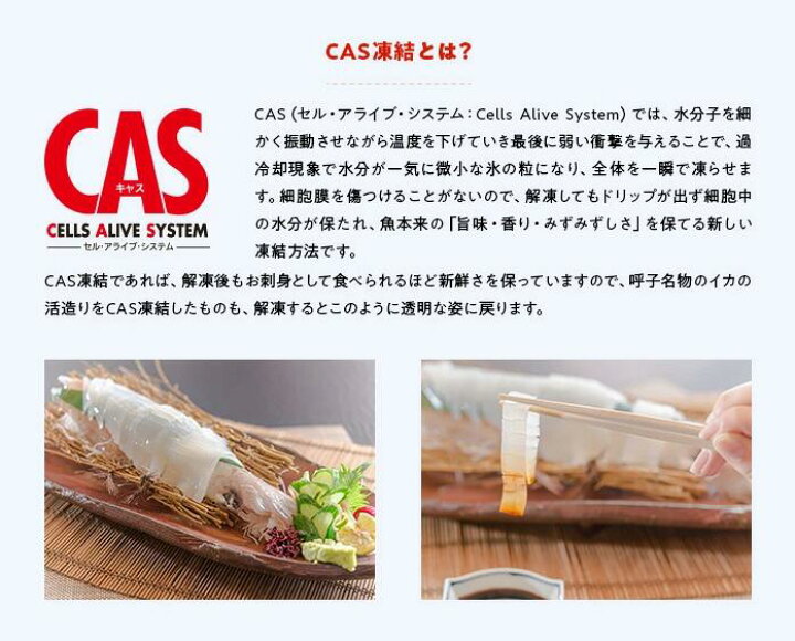 楽天市場 佐賀 呼子 松いか姿造り 約180g 2p 活造り イカ刺し お刺身用 松イカ するめイカ 姿造り 新鮮 Cas凍結 呼子直送 いか イカ 烏賊 刺身 スルメイカ お取り寄せ 贈り物 ギフト 九州 Saga マルシェ