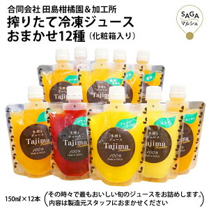 田島柑橘園の搾りたて冷凍ジュース おまかせ12種 化粧箱入り 太良・田島柑橘園