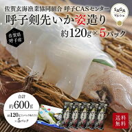 【呼子のイカ／剣先イカ】姿造り 約120g×5P｜活き造り風の鮮度｜刺し身用｜CAS凍結｜ケンサキイカ｜お中…