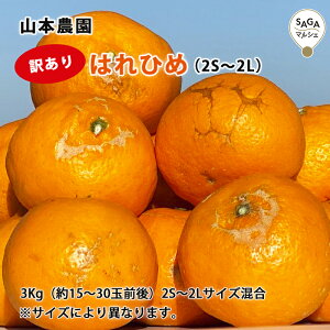 y󂠂z͂Ђ߁i2S`2Lj3kg@ǁER{_@B   O t[c k