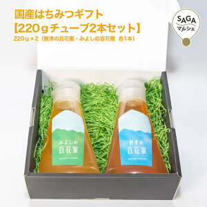 国産はちみつギフト220gチューブ2本セット(みよしの百花蜜・唐津の百花蜜) ハチミツ 蜂蜜 ハニー ハチミツ 蜂蜜 国産