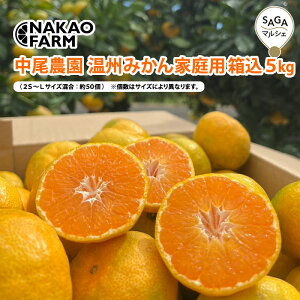 温州みかん家庭用箱込5kg 中尾農園