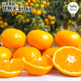 甘熟大玉　3kg　太良・山本農園