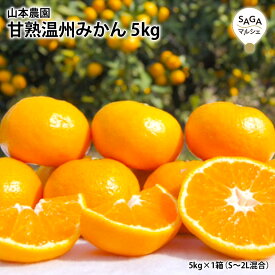 甘熟温州みかん 5kg （S〜2L混合） 太良・山本農園 温州みかん 甘熟 太良みかん 九州 佐賀 お取り寄せ グルメ フルーツ 柑橘 ギフト 贈答