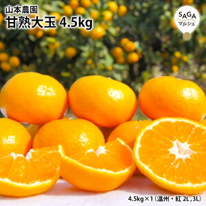 Ïn 4.5kg BEg 2L ǁER{_ ǂ݂ B   O t[c k Mtg 