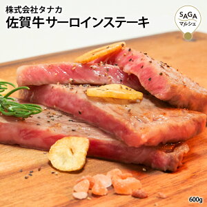 ꋍT[C A5 600g ō T[C Xe[L ꋍ a   Y BY p Mtg Ⓚ 