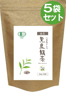 G Y p L@ 100(2.5g×40) yYY JASF I[KjbN YeB[pbN  E[/G z500mlybg{gŖ120{   hV̓Mtg 