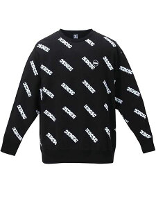 トレーナー 大きいサイズ メンズ スウェット トップス クルーネック ロゴプリント DC SHOES 男 かっこいい 服 C050111-02